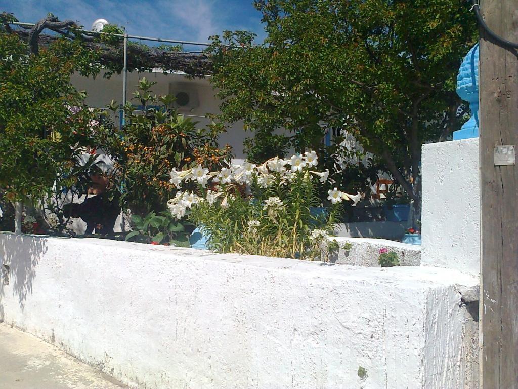 Dionysia Studios Kéfalos Exterior foto